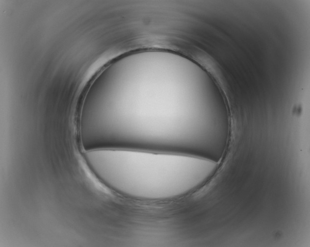 X0000113281141200909140935