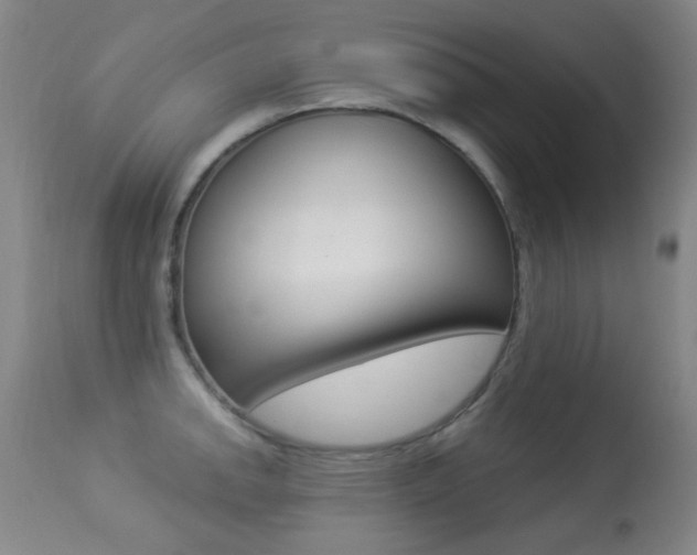 X0000113281142200909140935