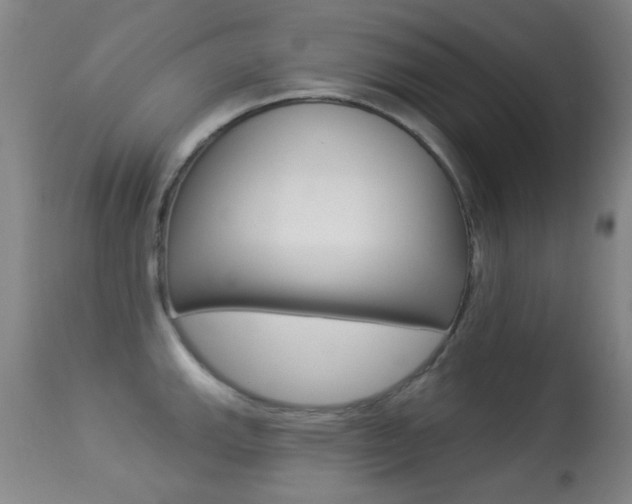 X0000113281143200909140935