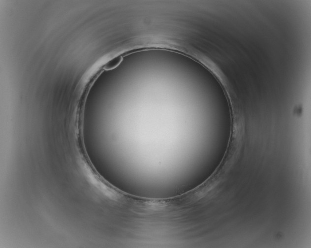 X0000113281144200909140935