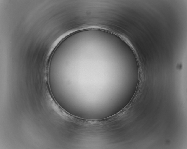 X0000113281148200909140935