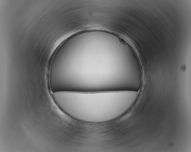 X0000113281149200909140935