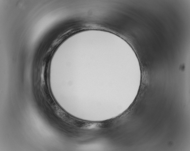 X0000113281150200909140935