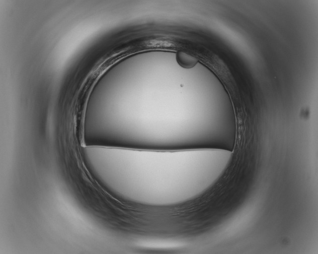 X0000113281151200909140935