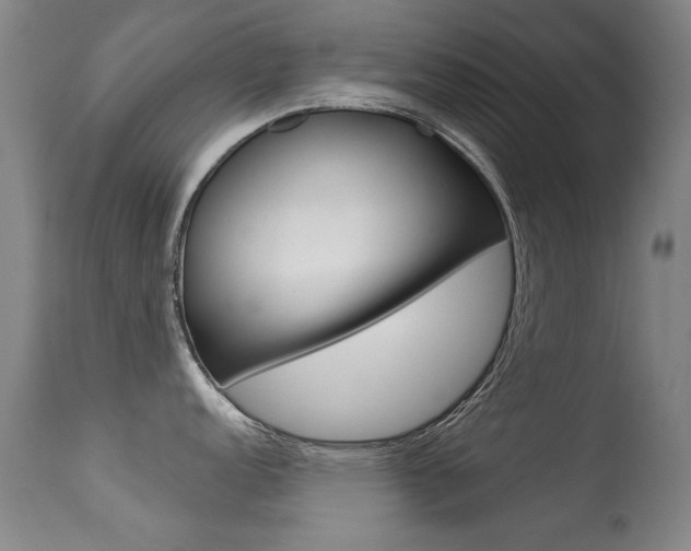 X0000113281152200909140935
