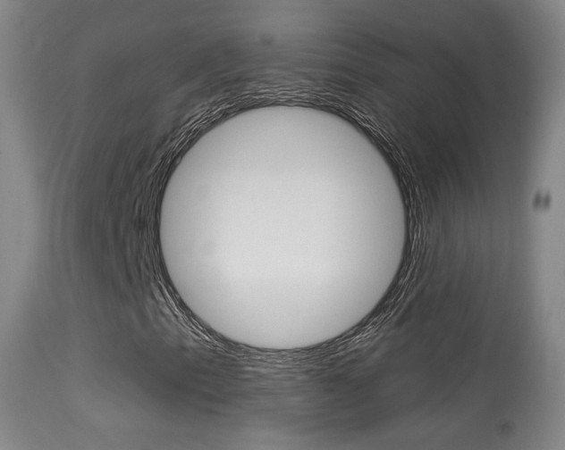 X0000113281153200909140934