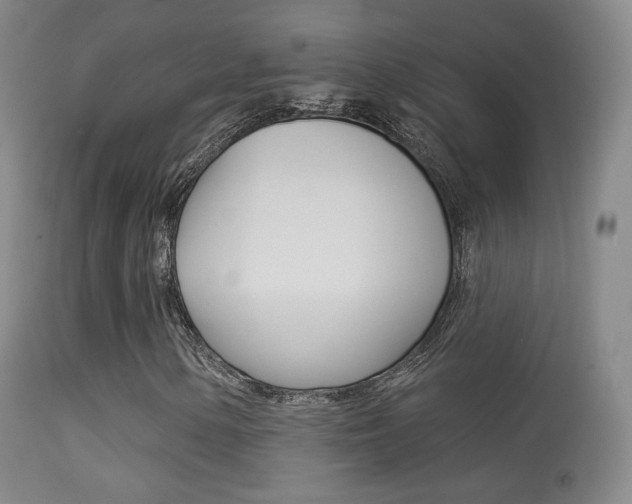 X0000113281154200909140934