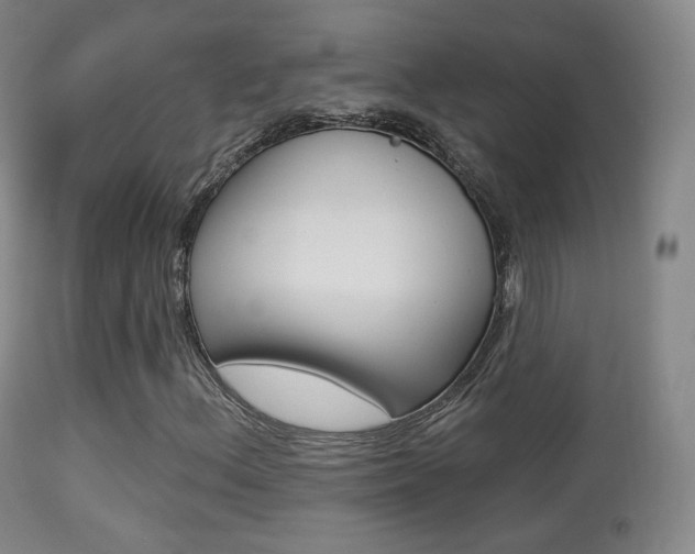 X0000113281156200909140934