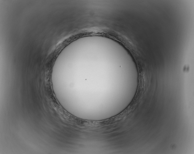 X0000113281158200909140934