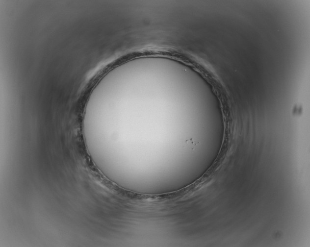 X0000113281160200909140934