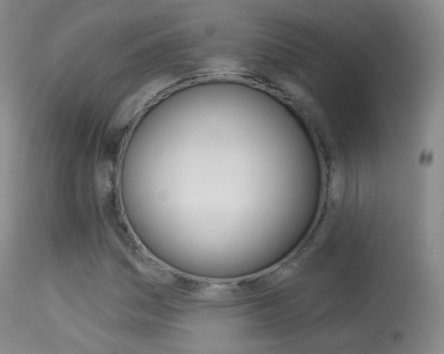 X0000113281161200909140934