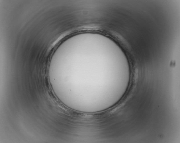 X0000113281162200909140934