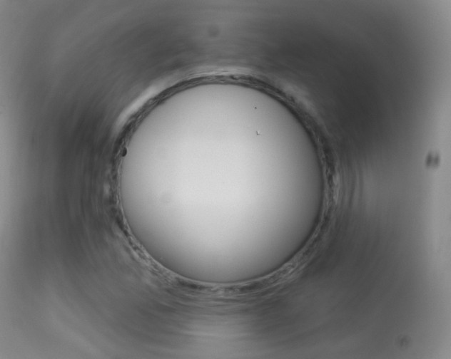 X0000113281165200909140934