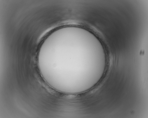 X0000113281166200909140934