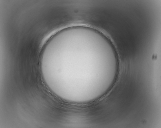 X0000113281167200909140934
