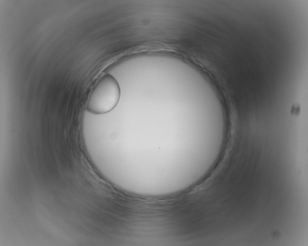 X0000113281169200909140934