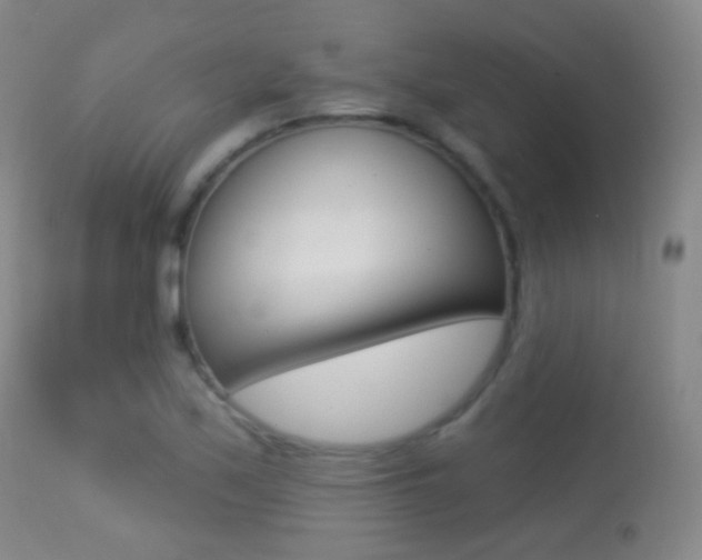 X0000113281171200909140934