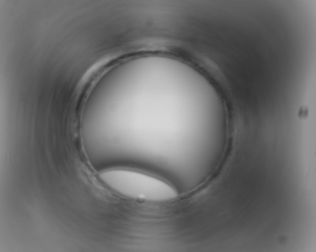 X0000113281172200909140934