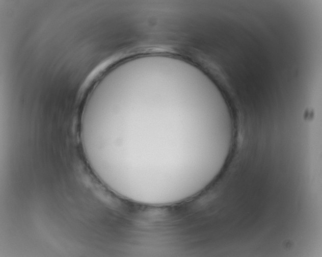 X0000113281174200909140934