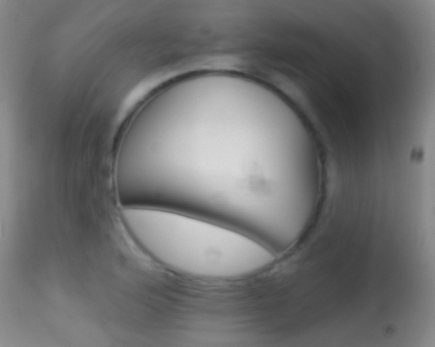 X0000113281176200909140934