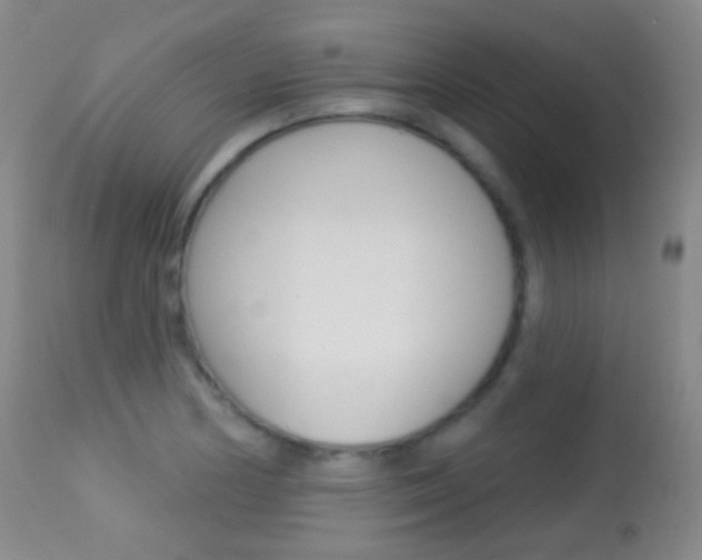 X0000113281178200909140934