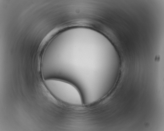 X0000113281180200909140934