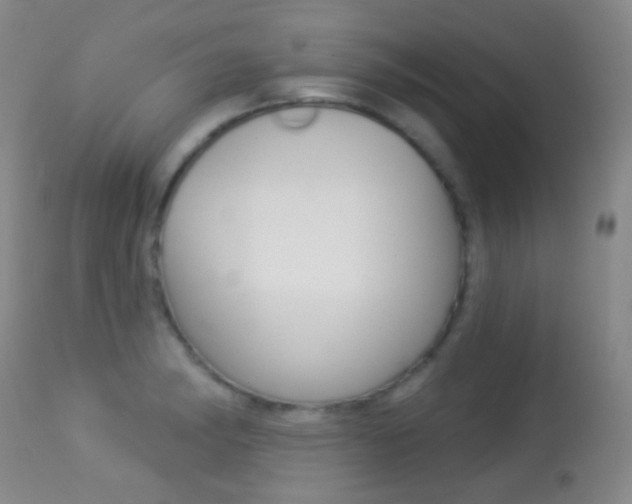 X0000113281182200909140934