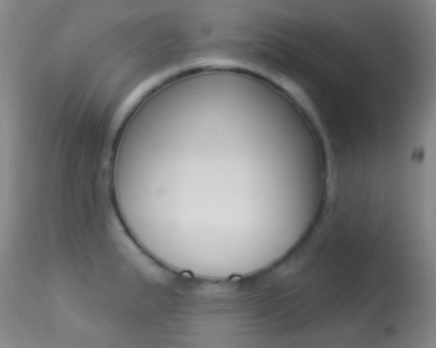 X0000113281183200909140934