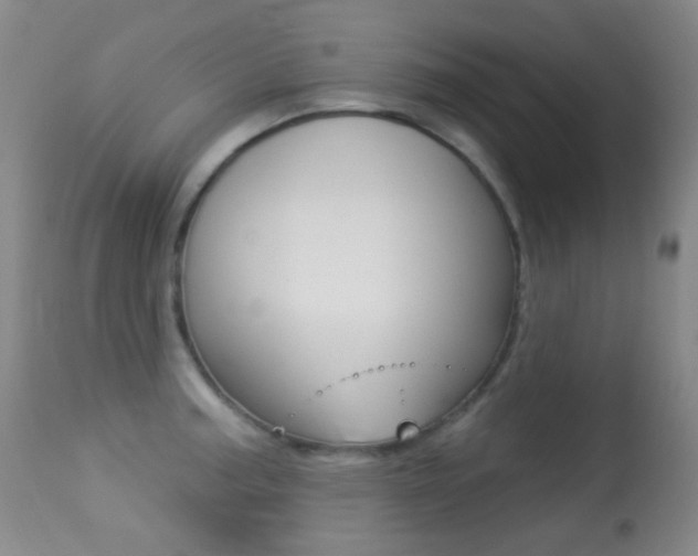X0000113281187200909140934