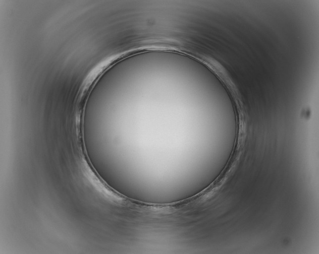 X0000113281196200909140934