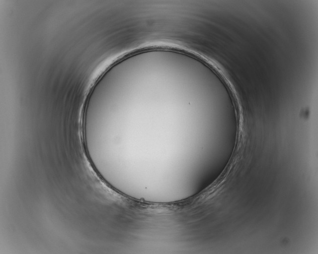 X0000113281199200909140934