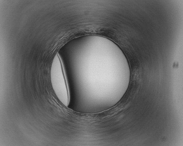 X0000113281202200909140933