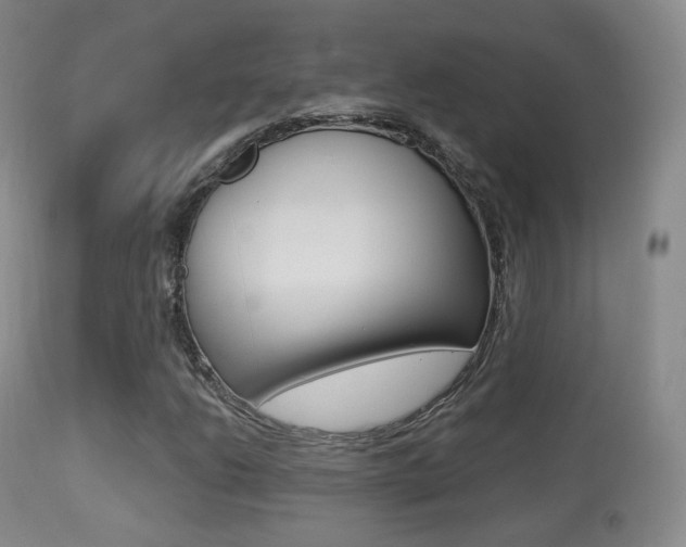 X0000113281206200909140933