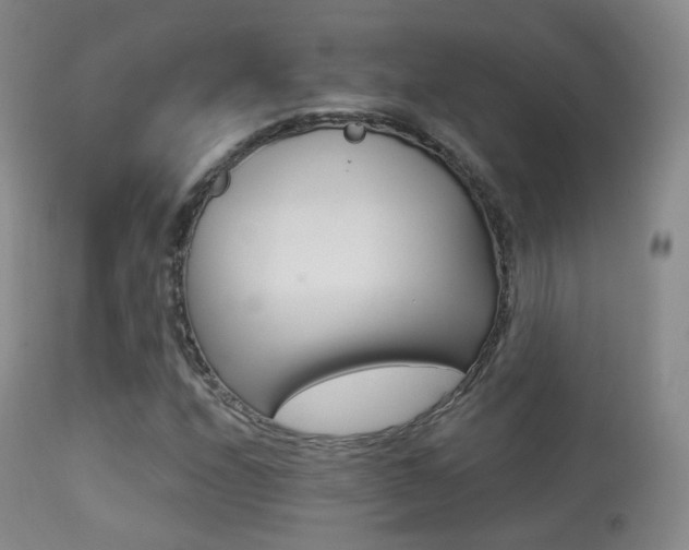 X0000113281208200909140933
