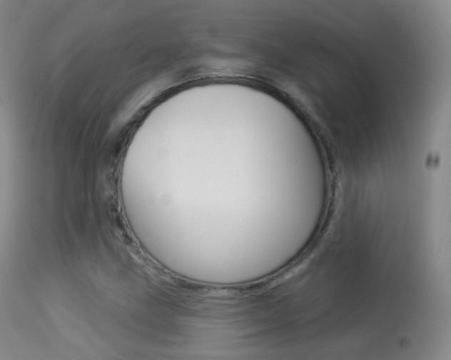 X0000113281211200909140933