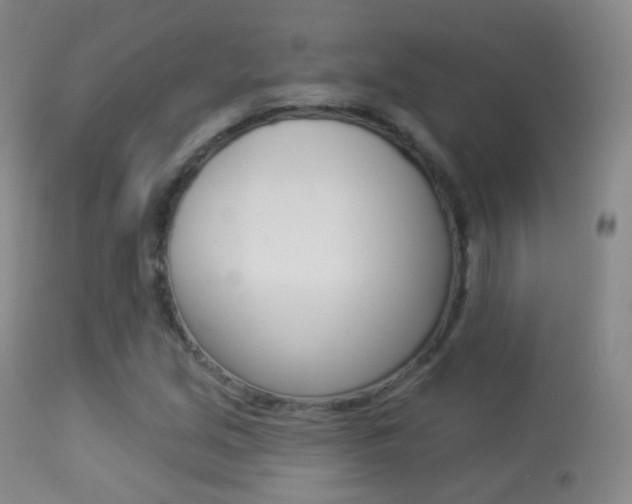 X0000113281213200909140933