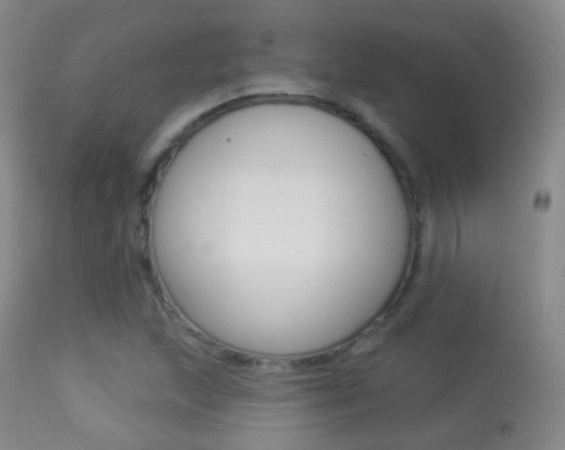 X0000113281215200909140933