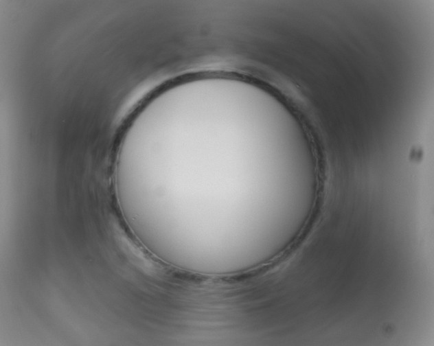 X0000113281216200909140933