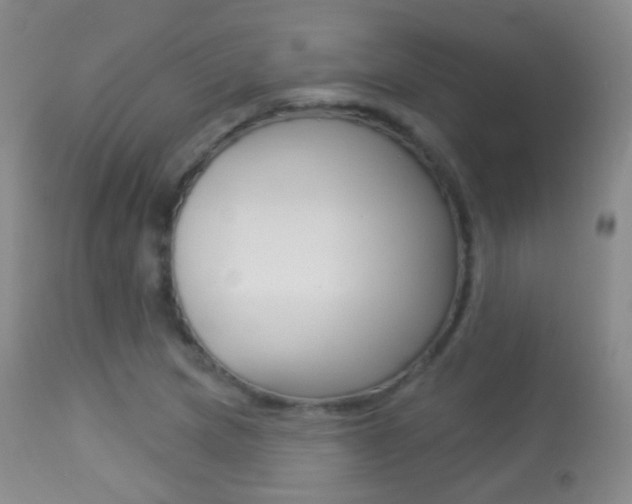 X0000113281217200909140933