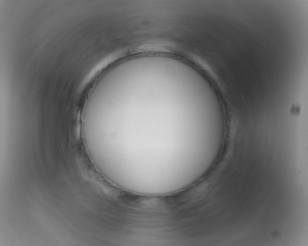 X0000113281219200909140933