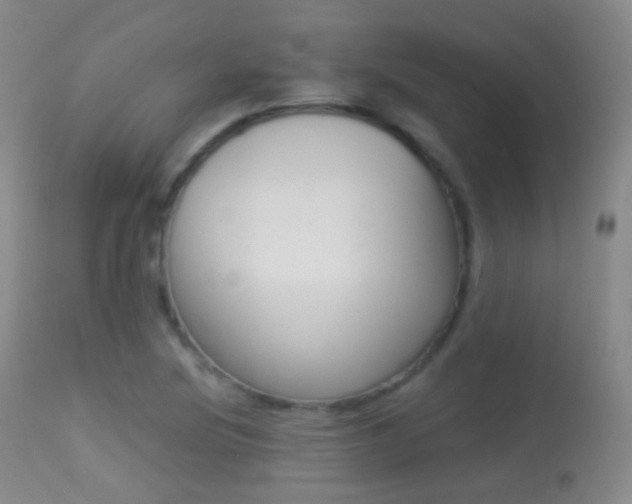 X0000113281220200909140933