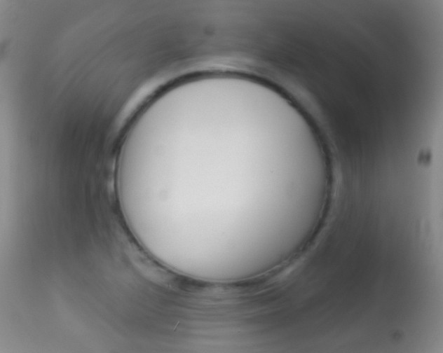 X0000113281224200909140933