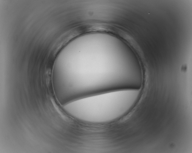 X0000113281233200909140933