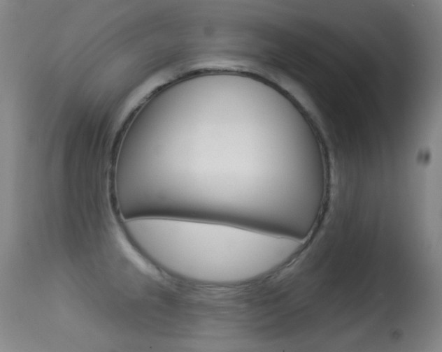 X0000113281237200909140933