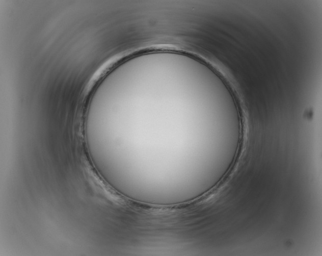 X0000113281240200909140934