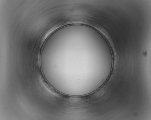 X0000113281242200909140934