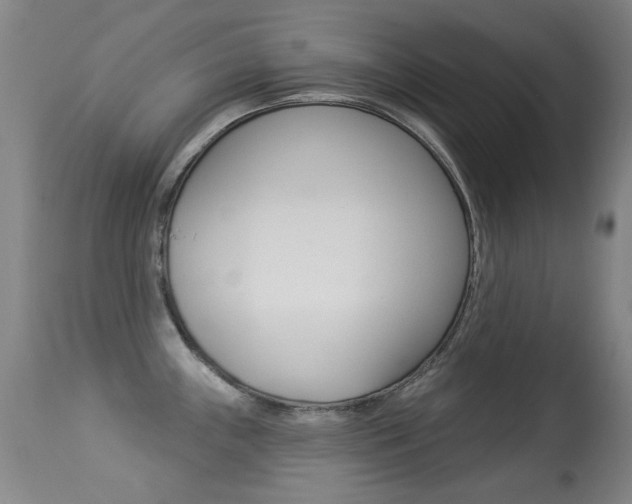 X0000113281243200909140934