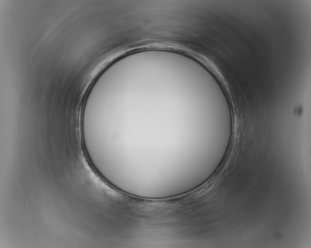 X0000113281247200909140934
