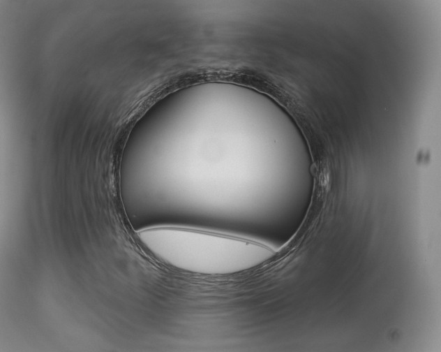X0000113281252200909140933