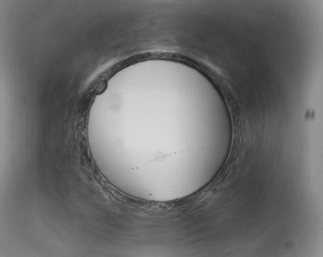 X0000113281255200909140933